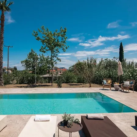 Astarte - The Pine Tree With Pool Vilă